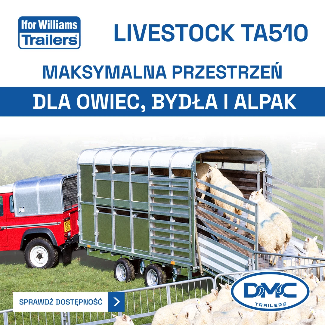 DMC Trailers: realizacja proste.media